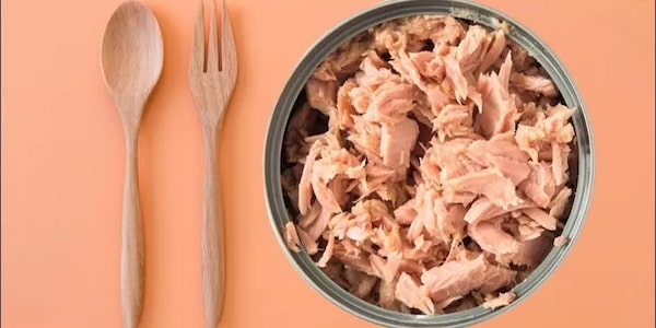 تصویر 1 از خرید تن ماهی در روغن زیتون + قیمت فروش استثنایی